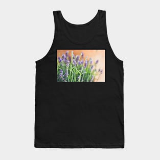 Lavender flowers in front of terracotta pot Tank Top